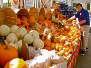 Pumpkins